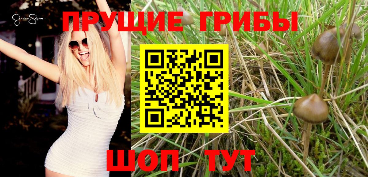 как найти закладки  Псилоцибиновые грибы ЛСД  Вход с VPN  Псилоцибиновые грибы ЛСД  Гулькевичи 