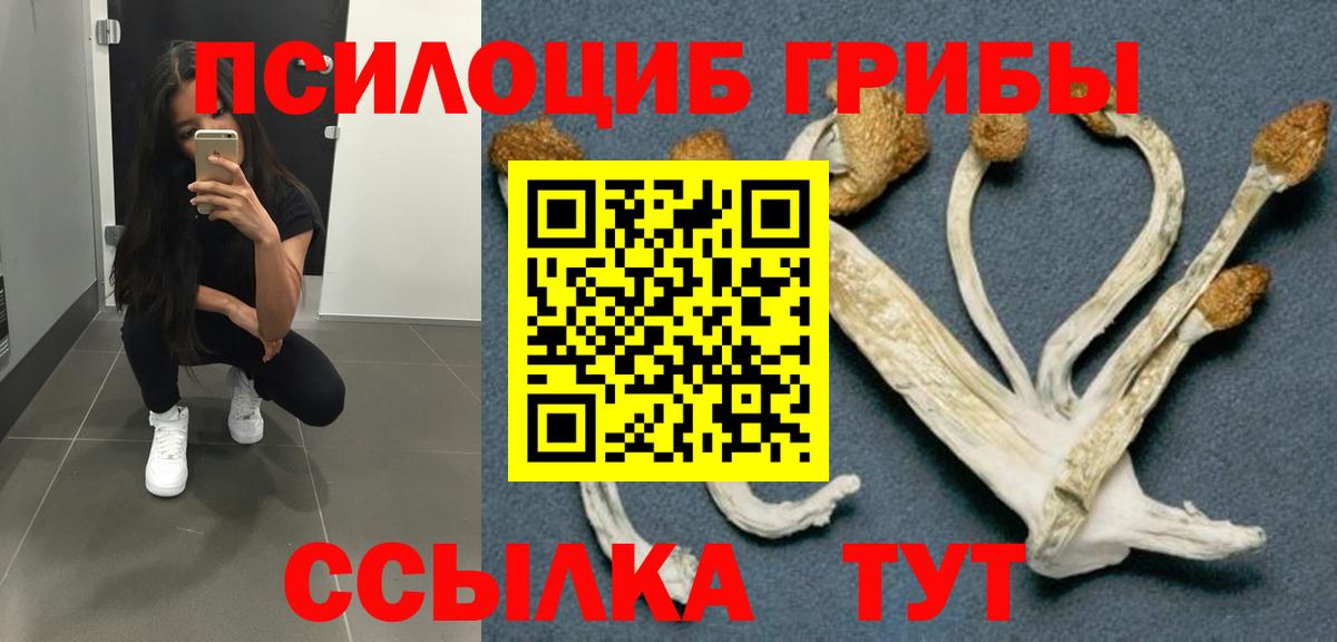 Псилоцибиновые грибы Magic Shrooms Гулькевичи